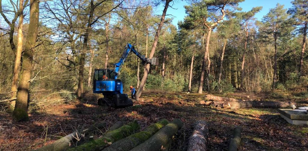 Landschap - Bomen en houtopstanden